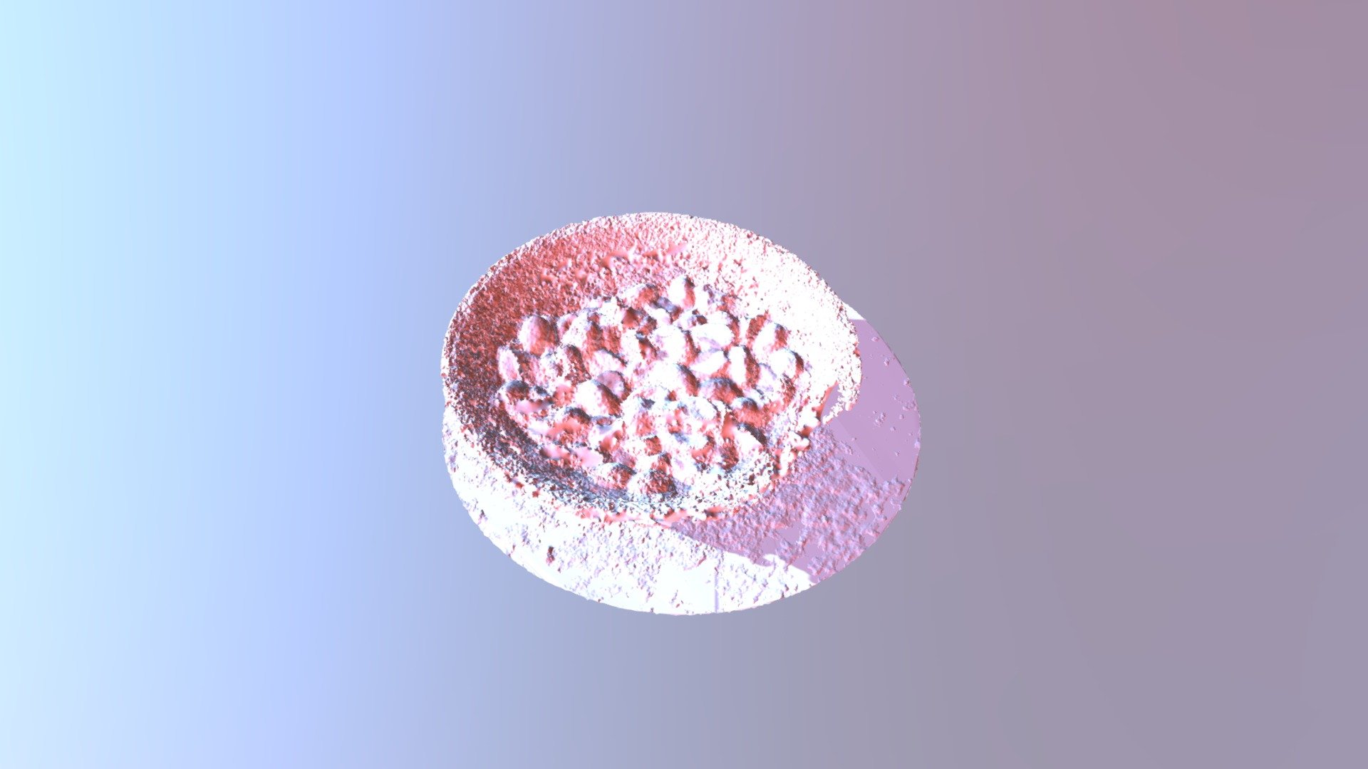 Finished Model Of My Scan