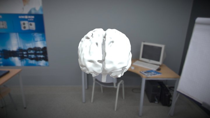 Segmentation_b rain 3D Model
