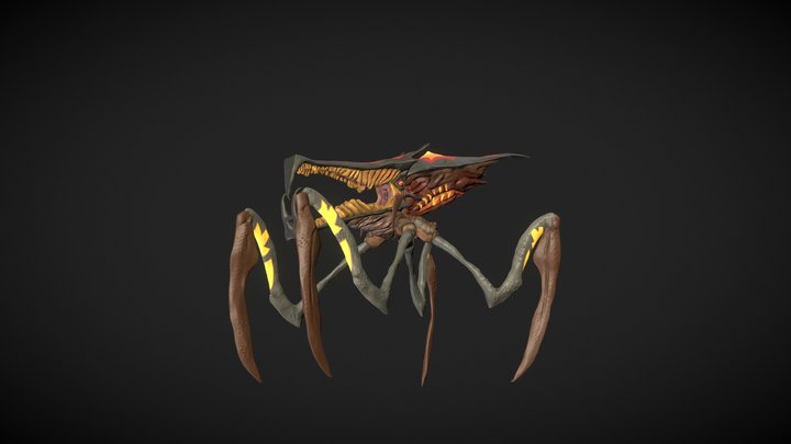 Warrior Bug_Color 3D Model