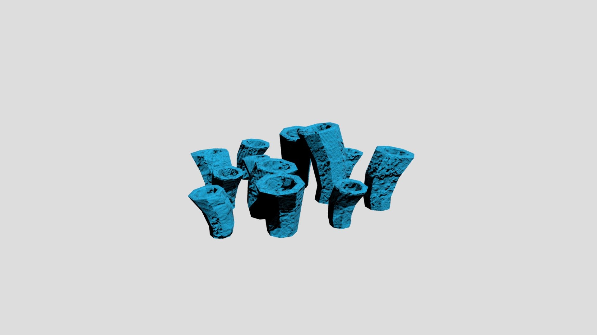 Coral4