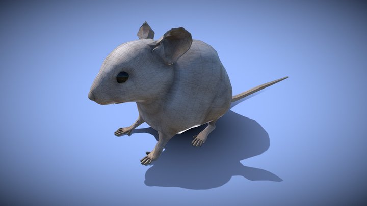 Mouse - yeti - multi colored - realistic style 3D Model