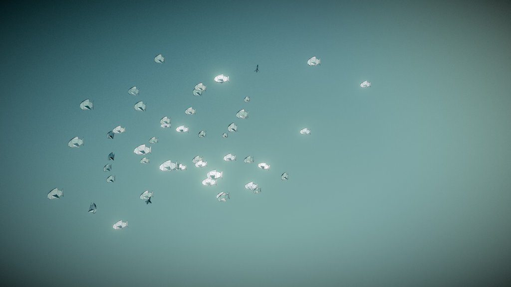 The Fish Particle
