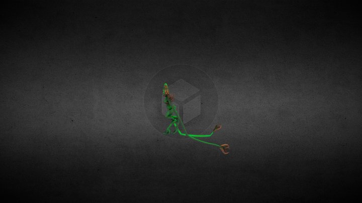 Estran 3D Model