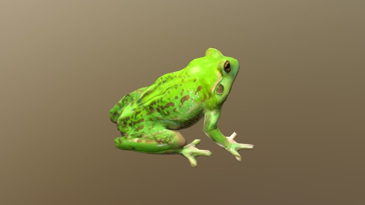 Frog 3D Model