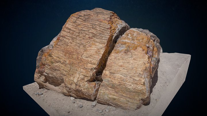 Largest Petrified Rock 3D Model