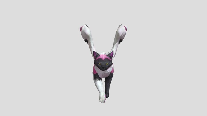 Felicitas the winged cat