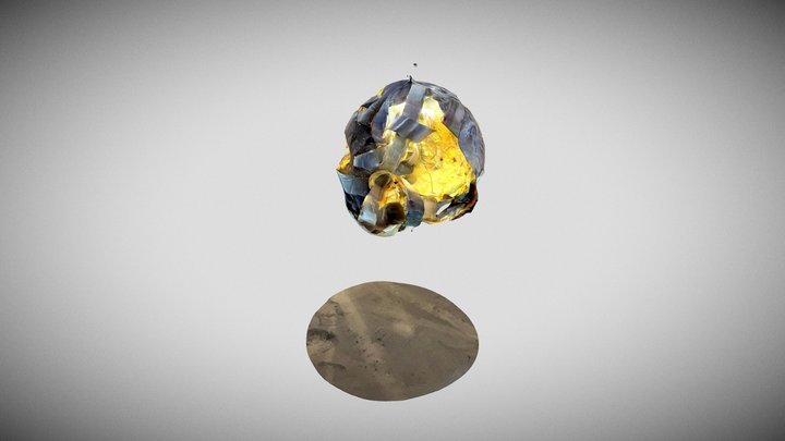 Europe Fly and Shine 3D Model