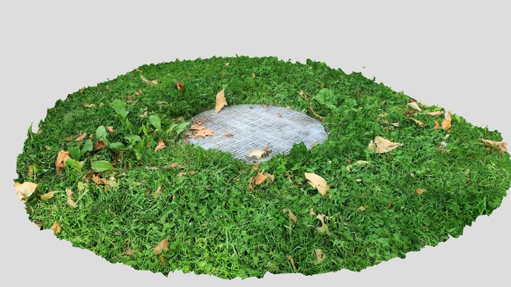 Manhole Access Cover 3D Model