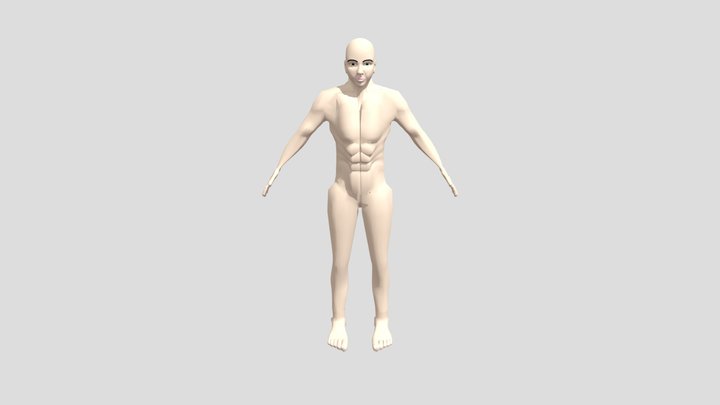 Human body 3D Model
