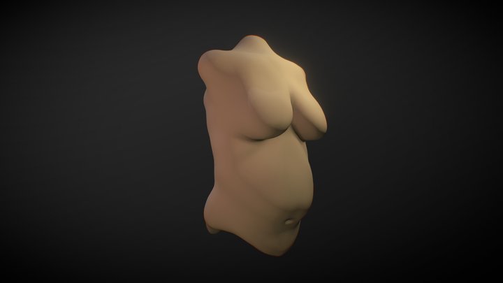 Female Body_03 3D Model