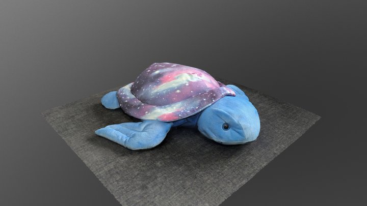 Space Turtle 3D Model