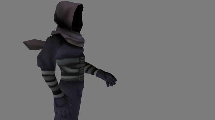 The forgotten assassin 3D Model