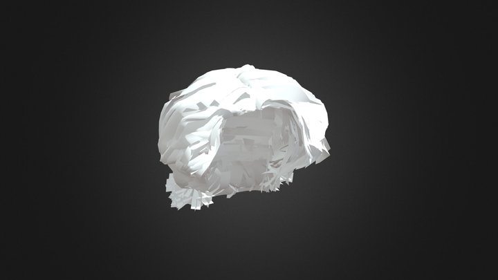 Lowpoly Einstein Haircut 3D Model