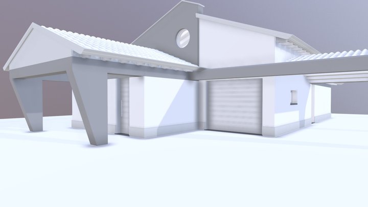 09 SFUMATURE DI GRIGIO-DOPPIA PENDENZA 3D Model