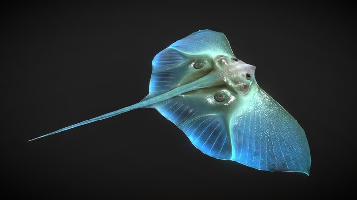 Alien Fantasy Fish - Jelly Ray - Stingray 3D Model