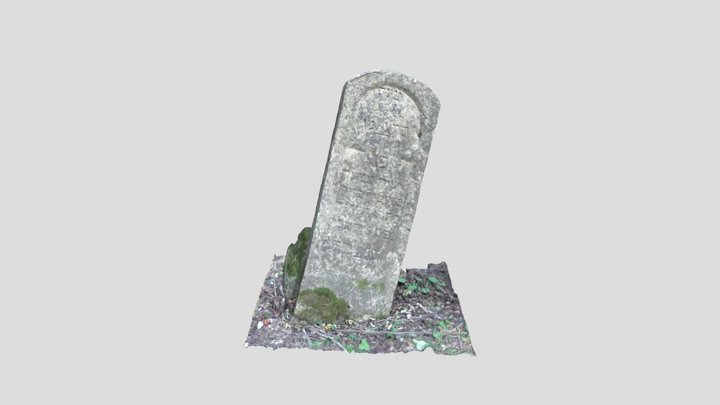 43 3D Model