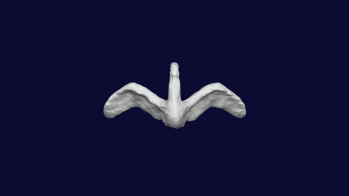 CYGNE V7 3D Model