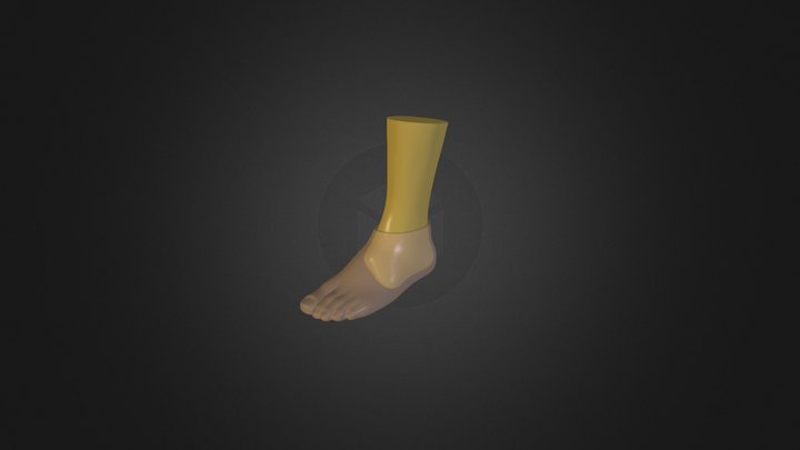 foots 3D Model