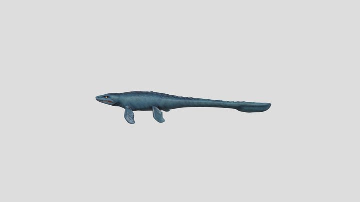 Mosasaurus 3D Model