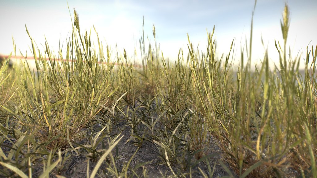 Simple grass chunks
