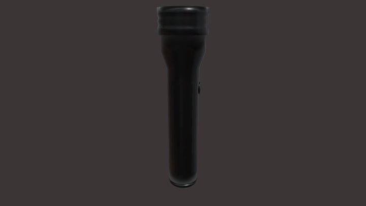 Flash Light 3D Model