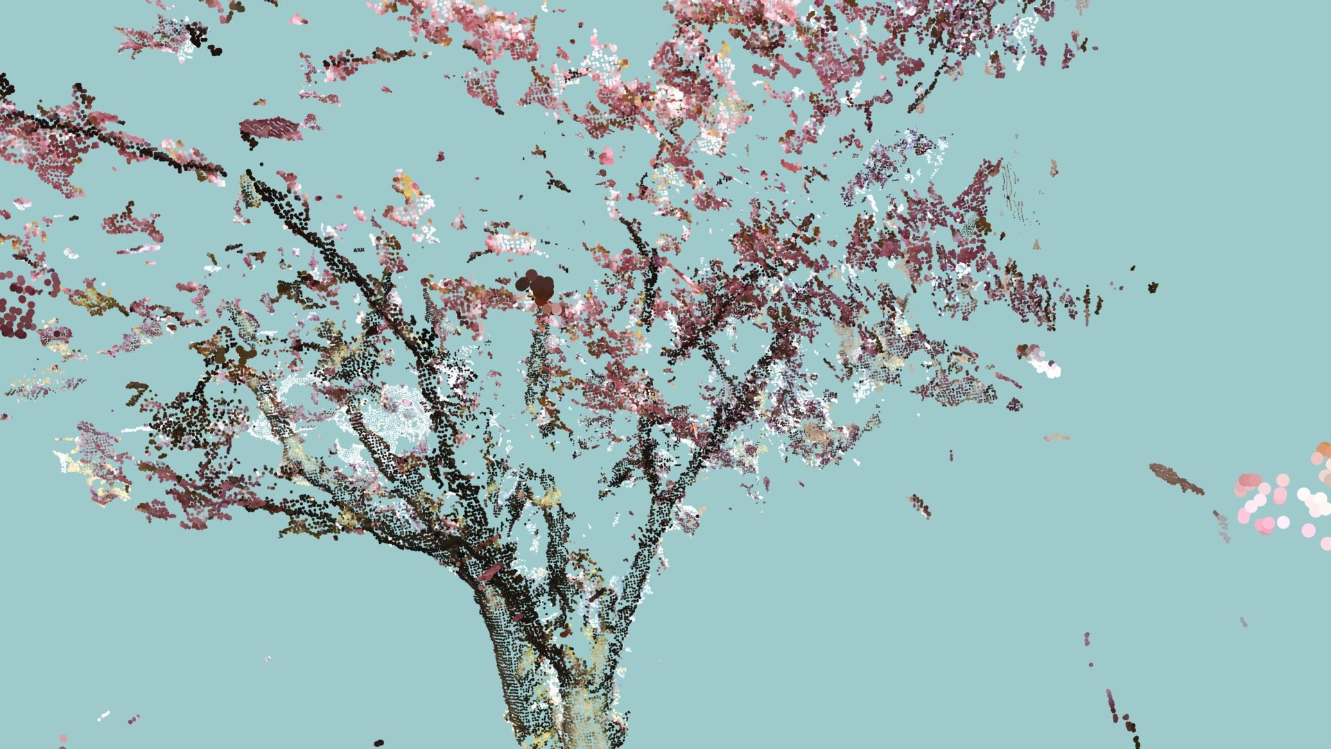 Two trees blossom