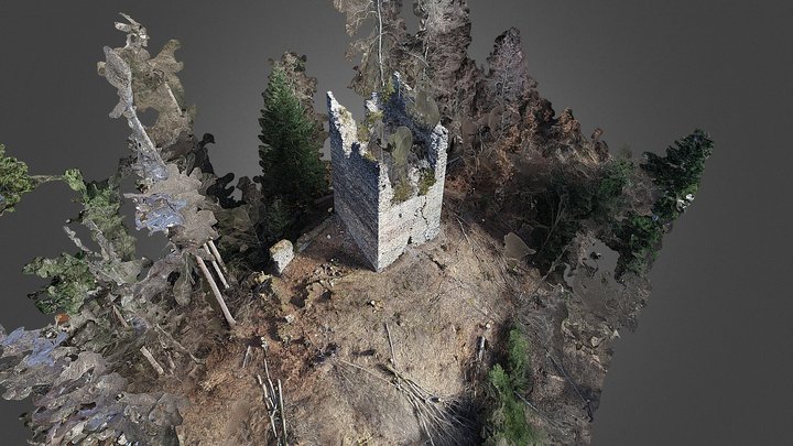 Ruine Klingenhorn ¦ Malans 3D Model