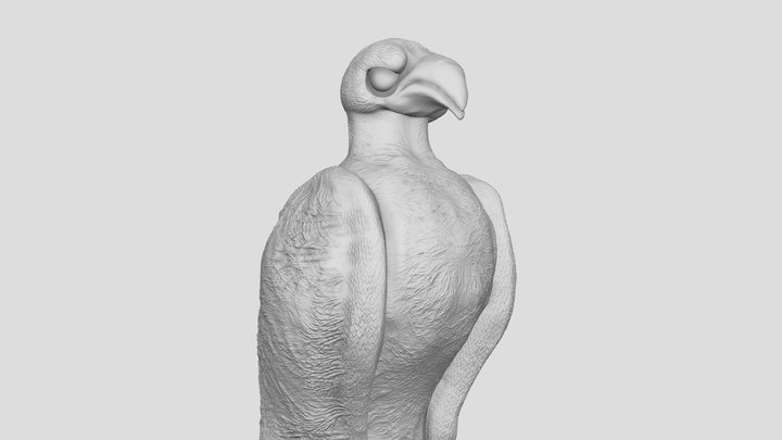 bird sculpt 3D Model