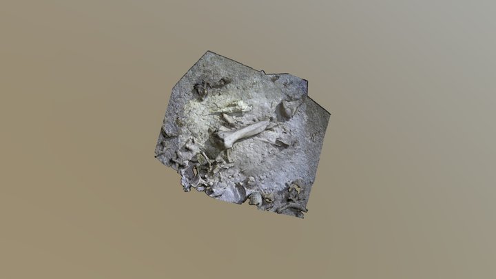 Nai Tucha - Small bones. 3D Model