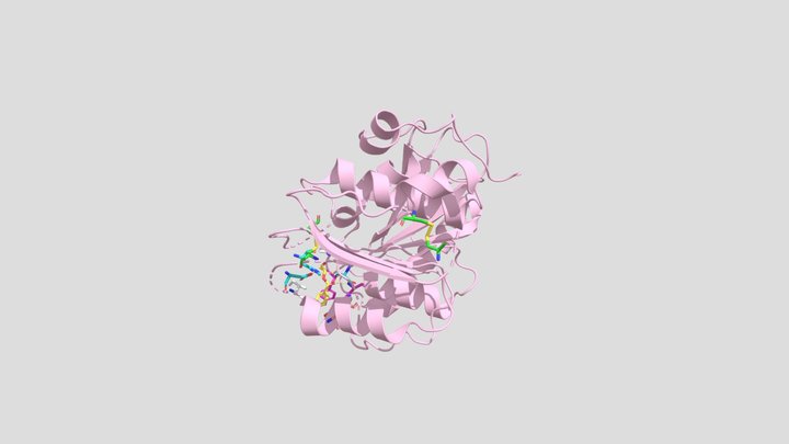 2022 biochem molecule <3 3D Model