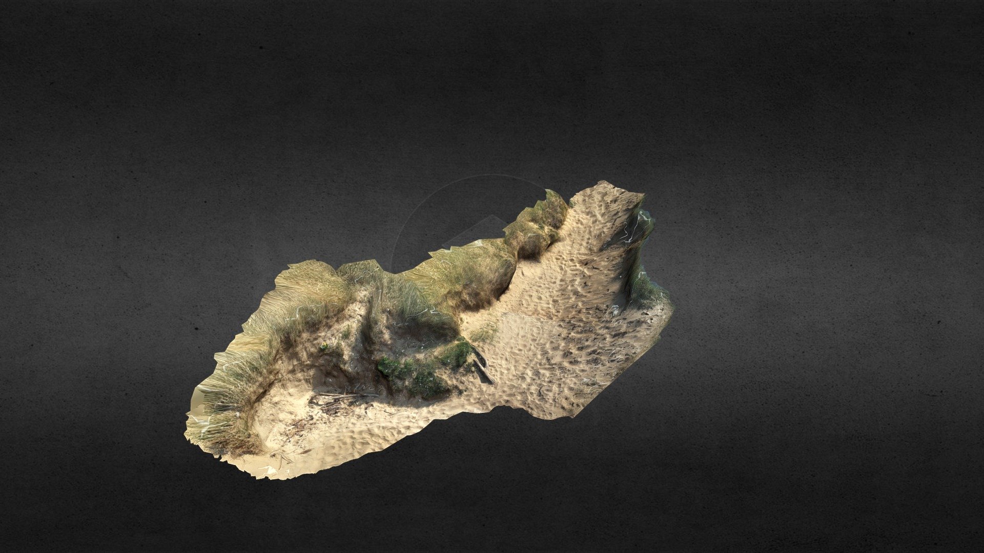 Sand Dune