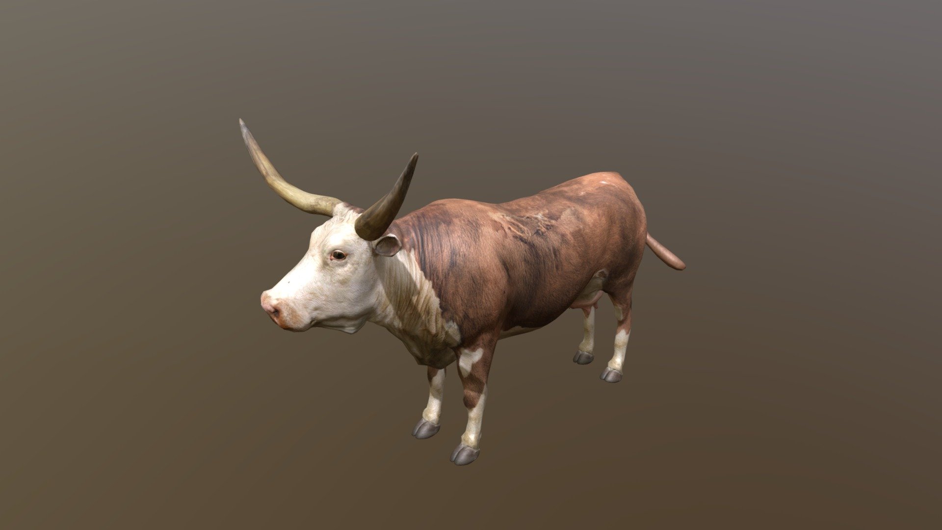 Texas Longhorn - Download Free 3D model by kenchoo [eb6b440] - Sketchfab