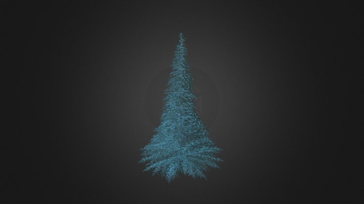 Blue Spruce (Picea pungens) 7.4m 3D Model