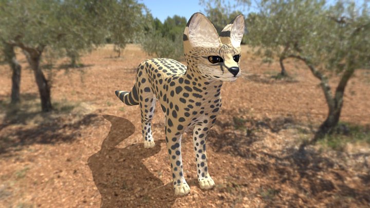 Serval Cat 3D Model
