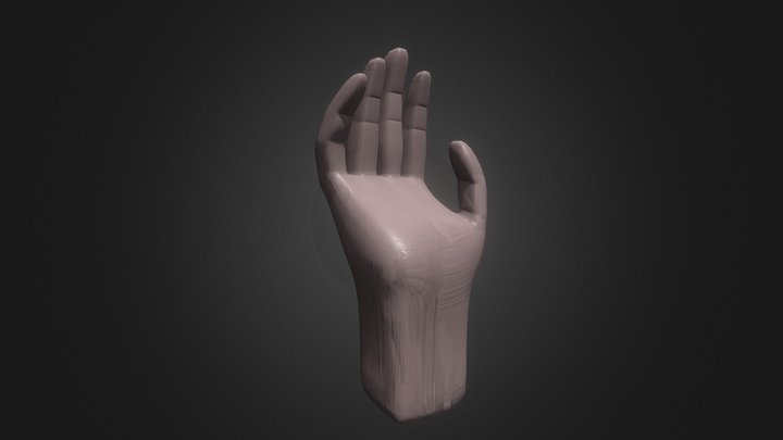 hand 3D Model