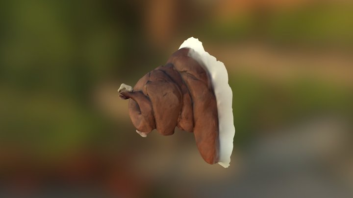 Space 3D Model