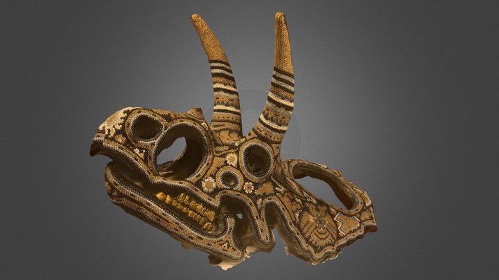 ARTE YAWI "ANCIENT SKELETON" SCAN 3D Model