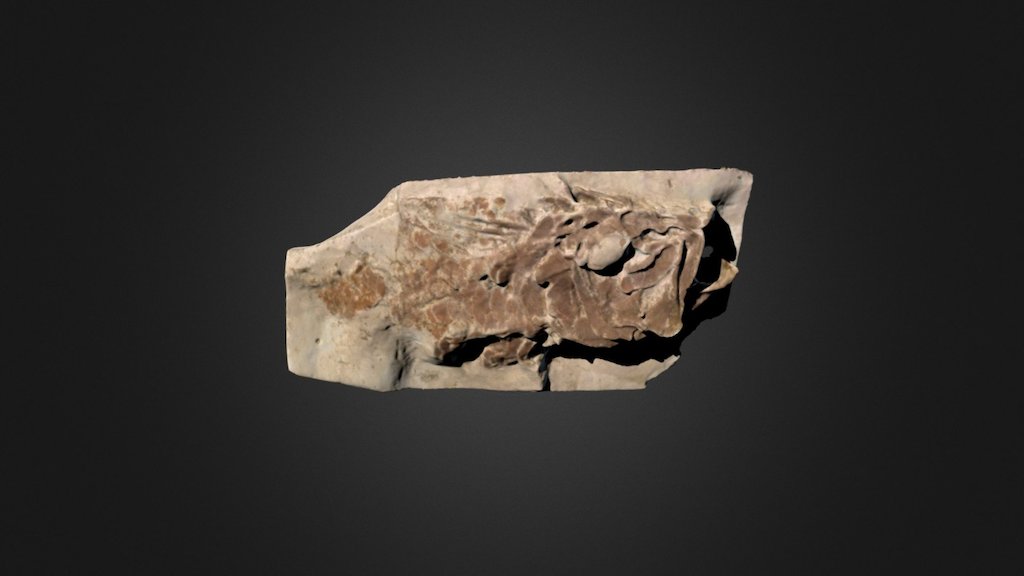 Beryx superbus (BMB 007201) — Sketchfab embed 3D viewer