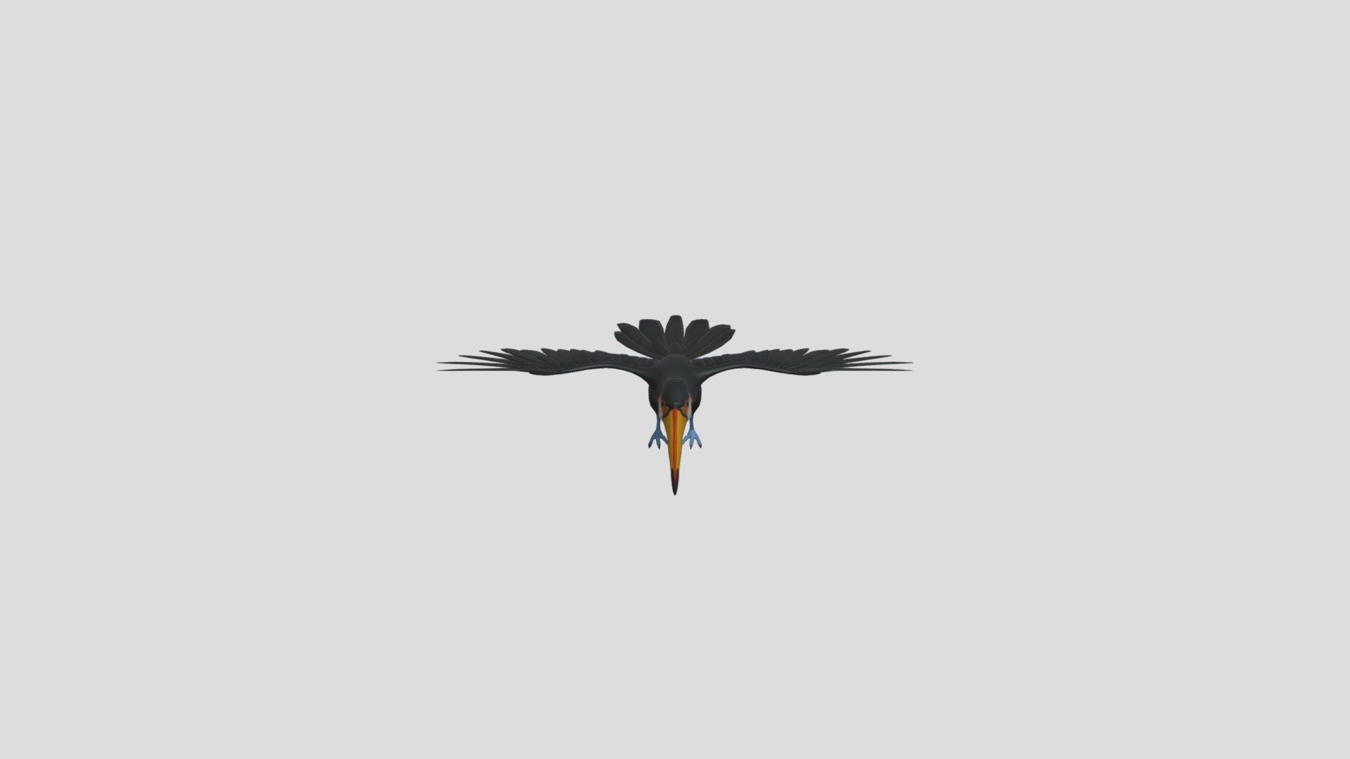 Toucan Bird