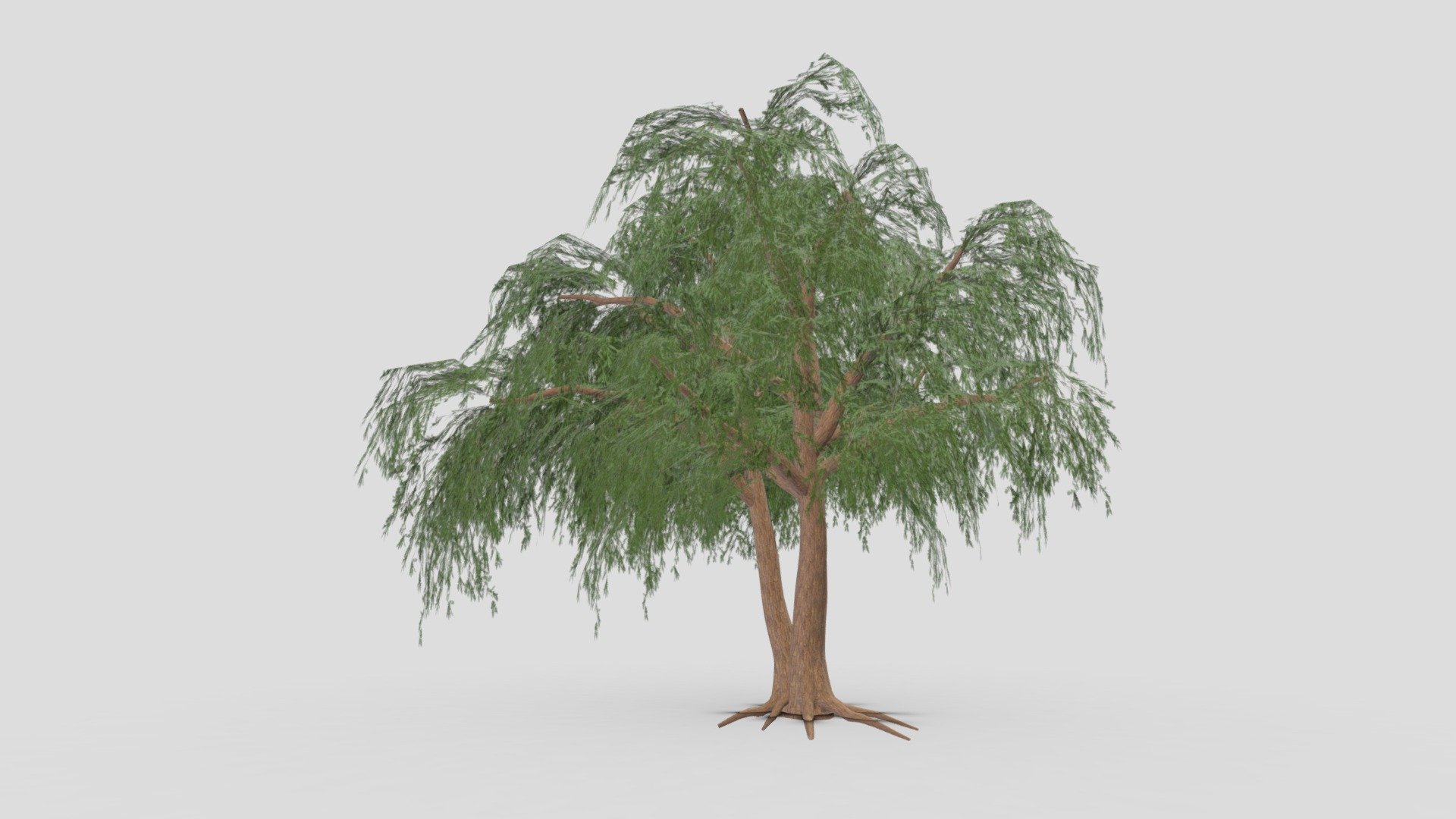Prosopis Tree- 03 - Buy Royalty Free 3D model by ASMA3D [eb77273 ...