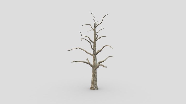 Tree-01 3D Model