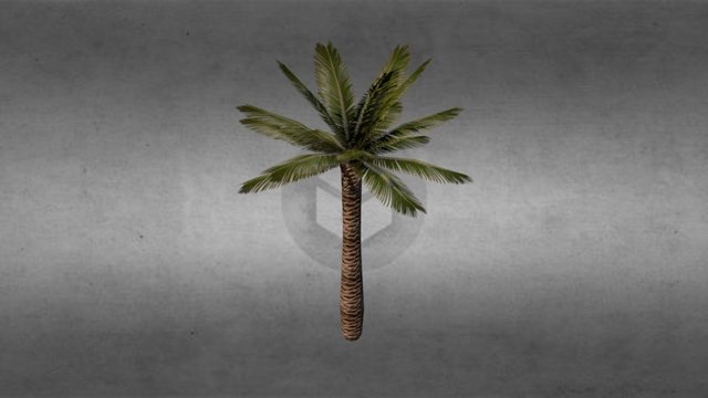 Palm 3D Model