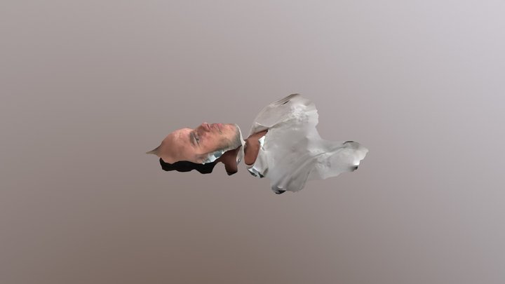 obj 3D Model
