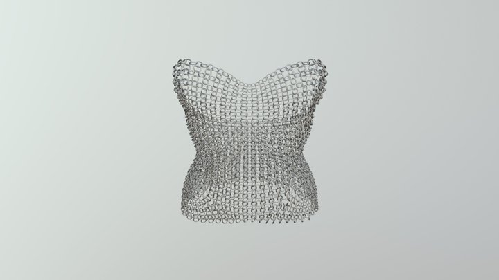 Metal Skirt 3D Model