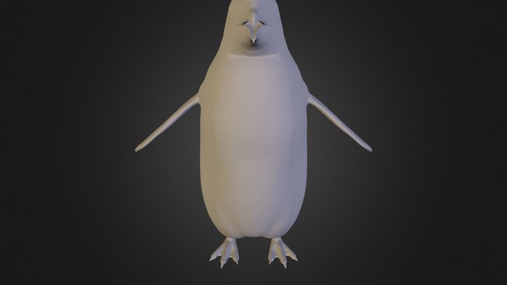 PinguinoPapua_01 3D Model
