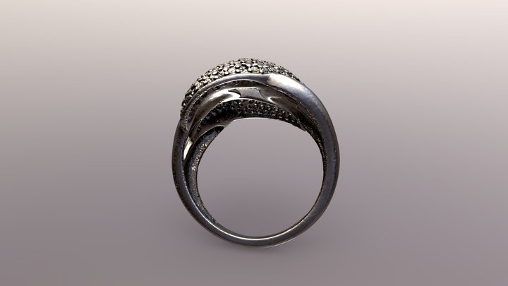 Ring2 3D Model