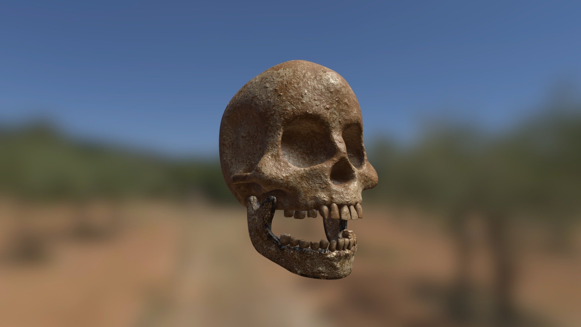 skull