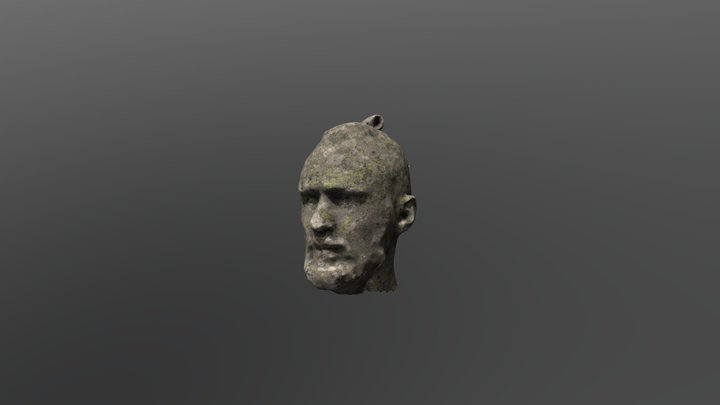 The head 3D Model