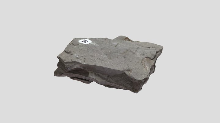 Unknown Sedimentary Rock 3D Model