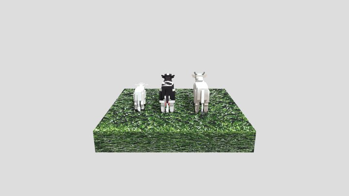 3 Model 3D Model